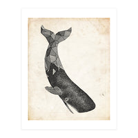 balena (Print Only)