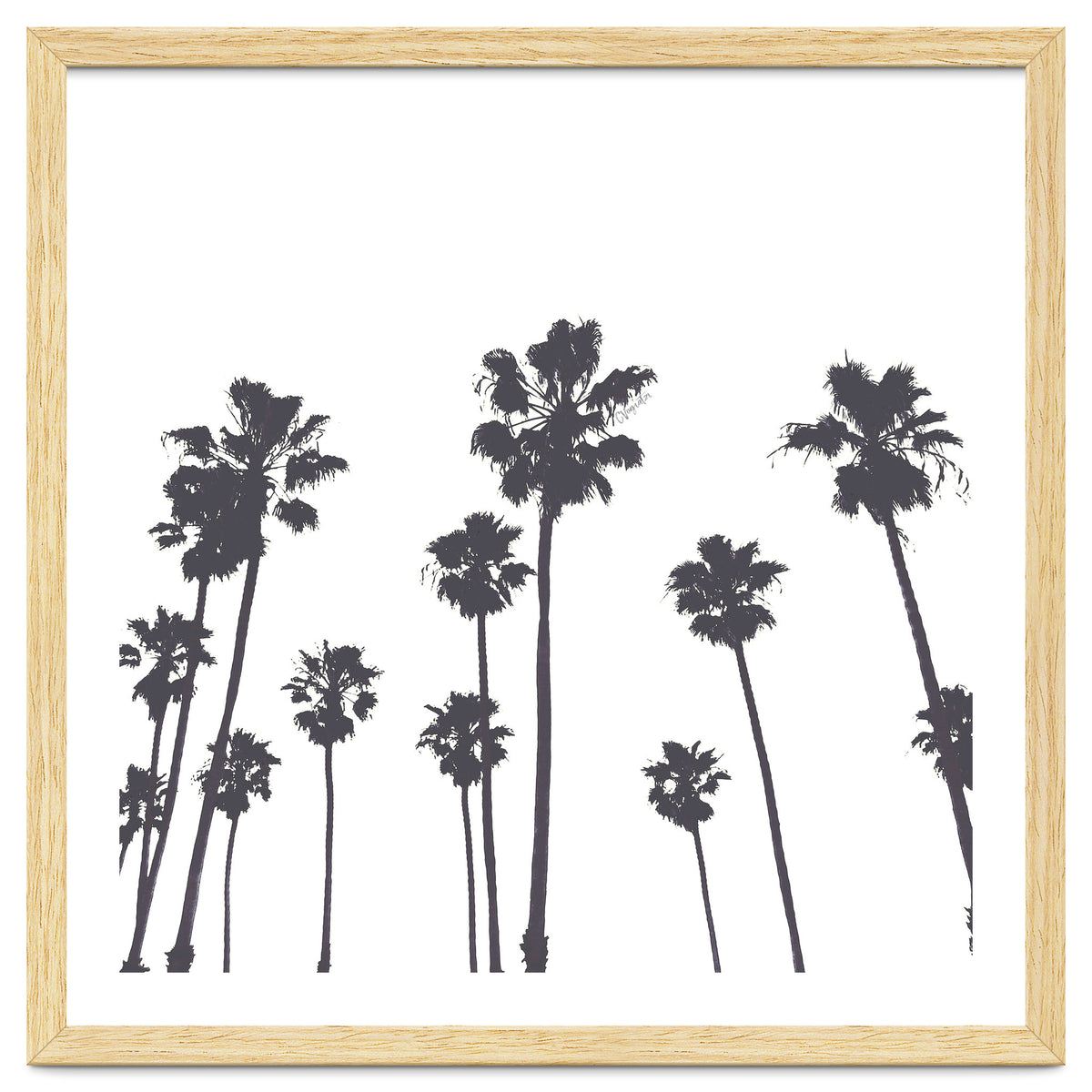 Palms & Sunset-Minimal B&W