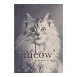 Famous Quote Cat (Print Only) thumbnail