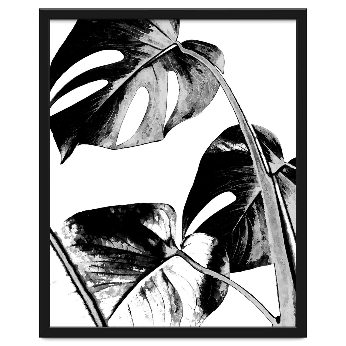 Black Tropical Leaves
