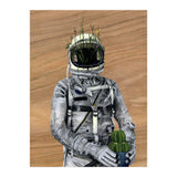 Cacti (Print Only) thumbnail