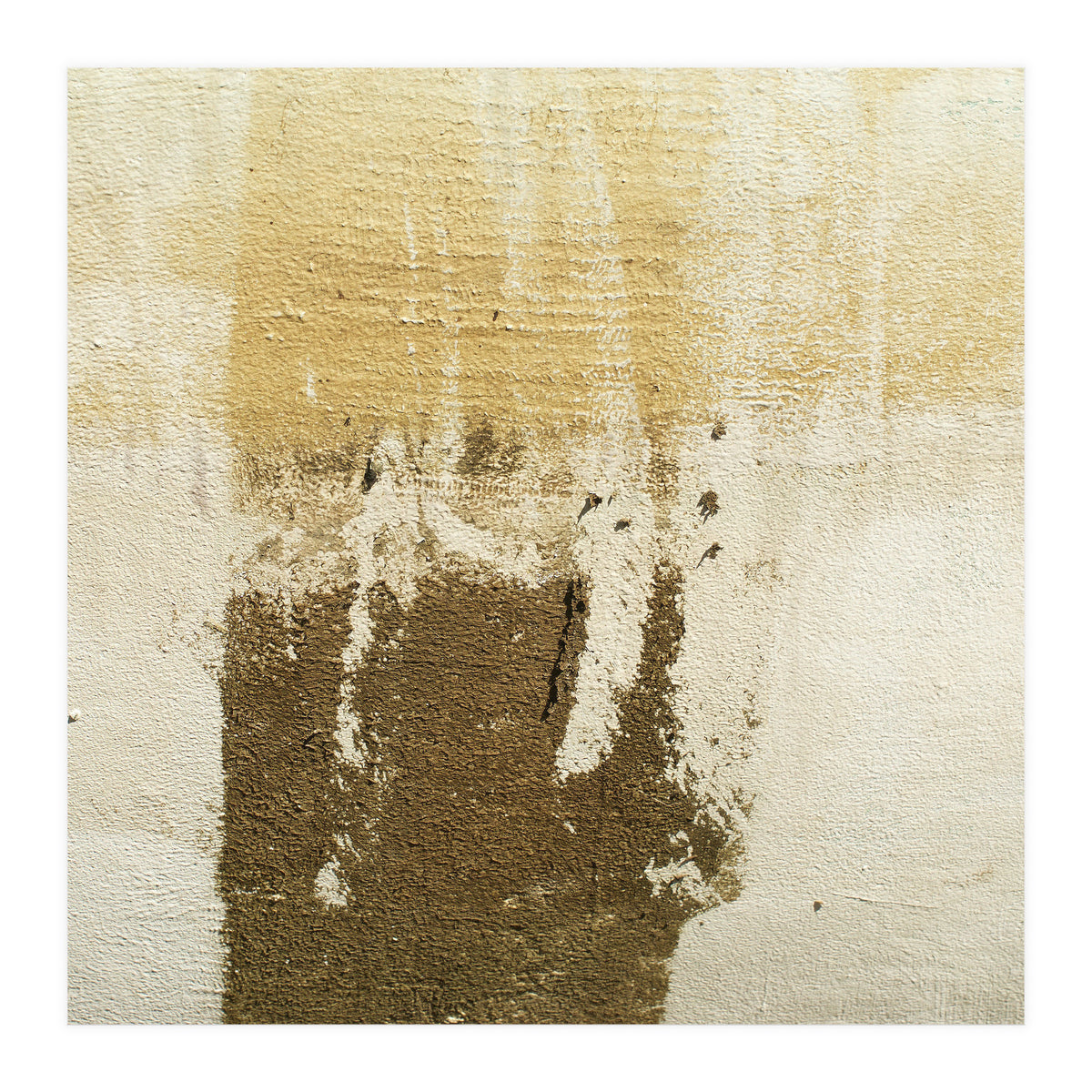 Harmony (Print Only)