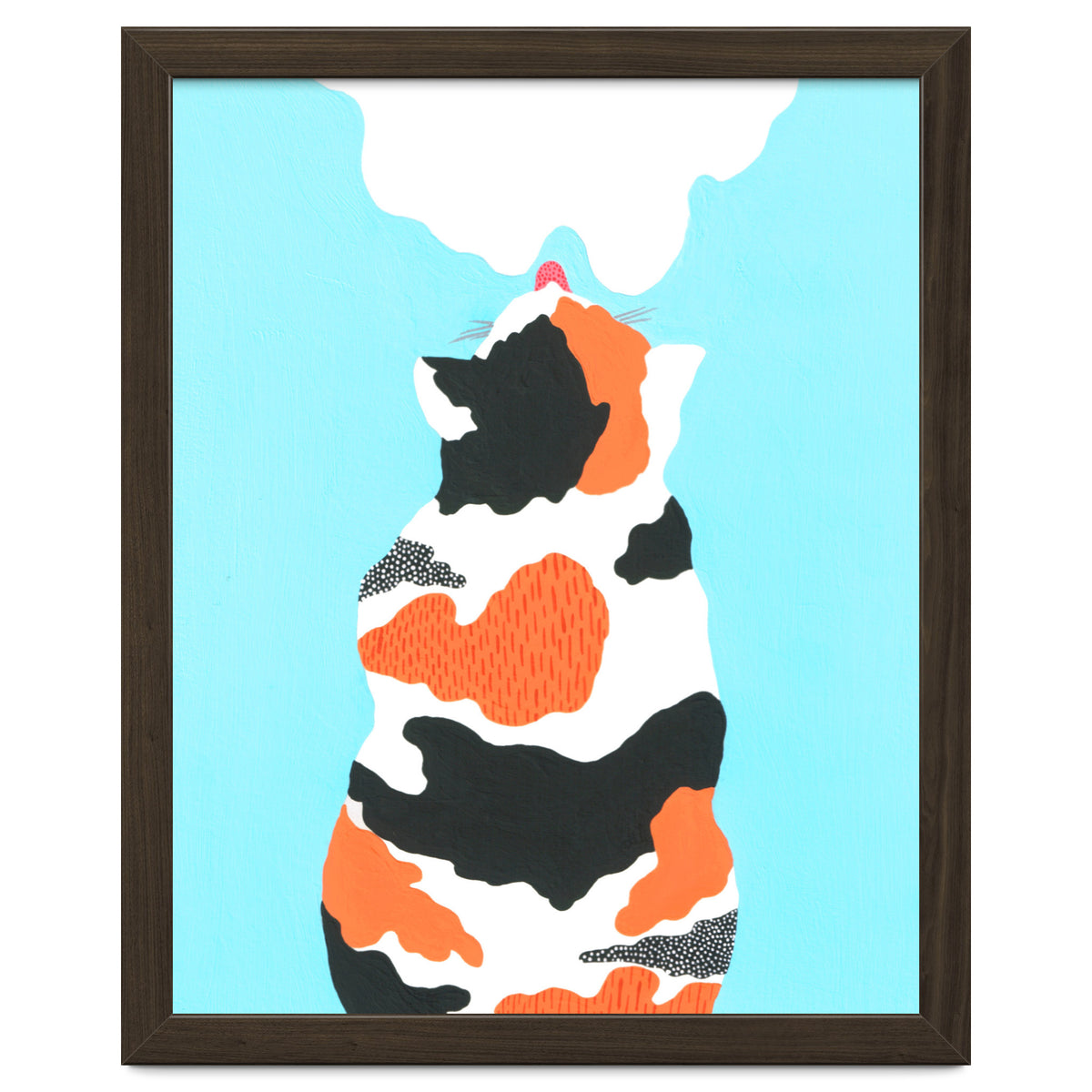 Tri Colored Calico Cat