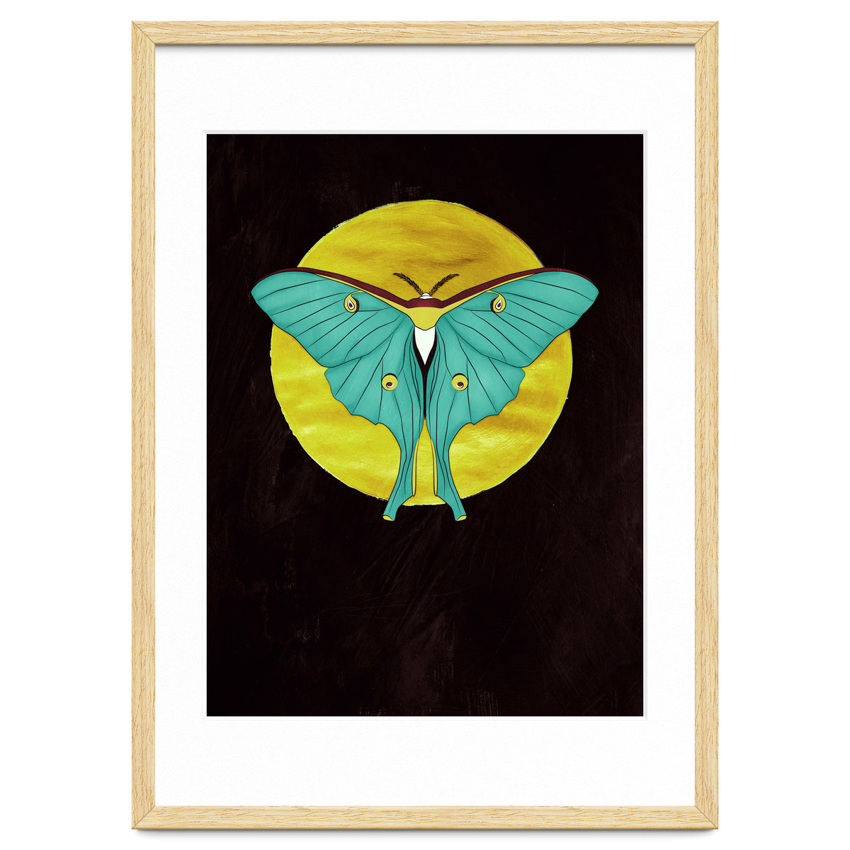 Luna Moth Moon