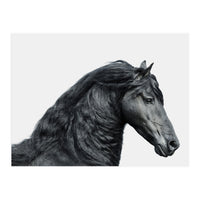 Friesian Horse (Print Only)