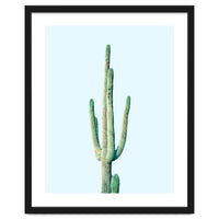 Loner Cactus