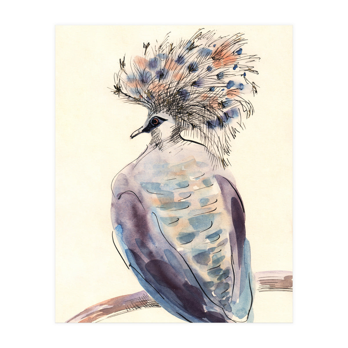 Crowned Pigeon (Print Only)