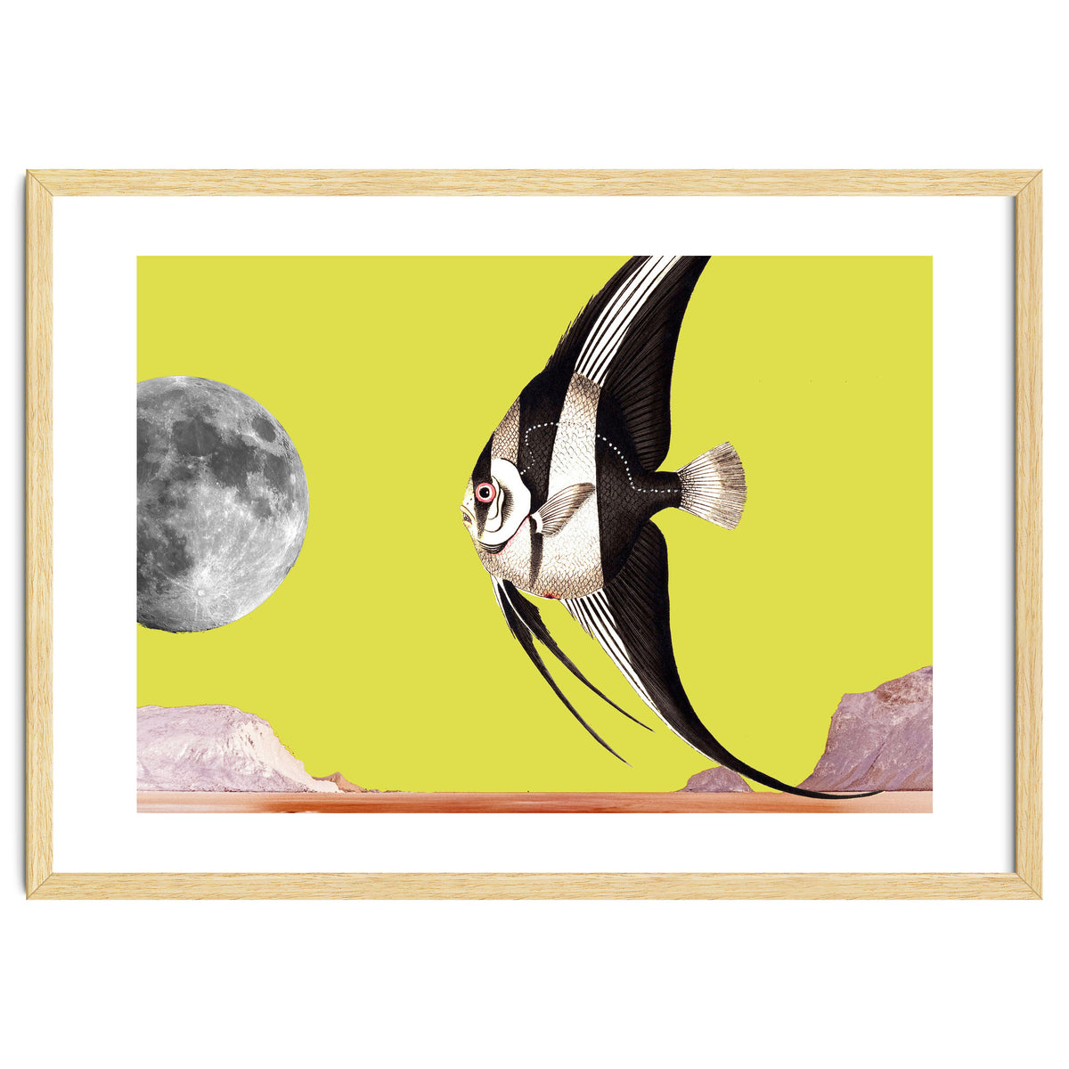 Plenty of fish in the sea yellow