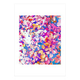 Floral Abundance (Print Only) thumbnail