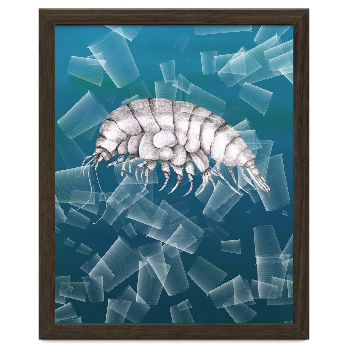 Eurythenes Plasticus