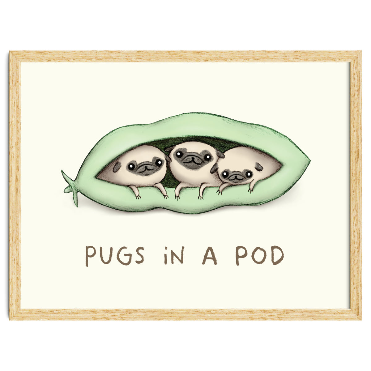 Pugs In A Pod