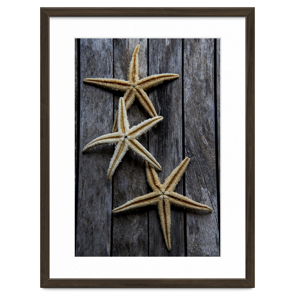 Starfishes in wooden