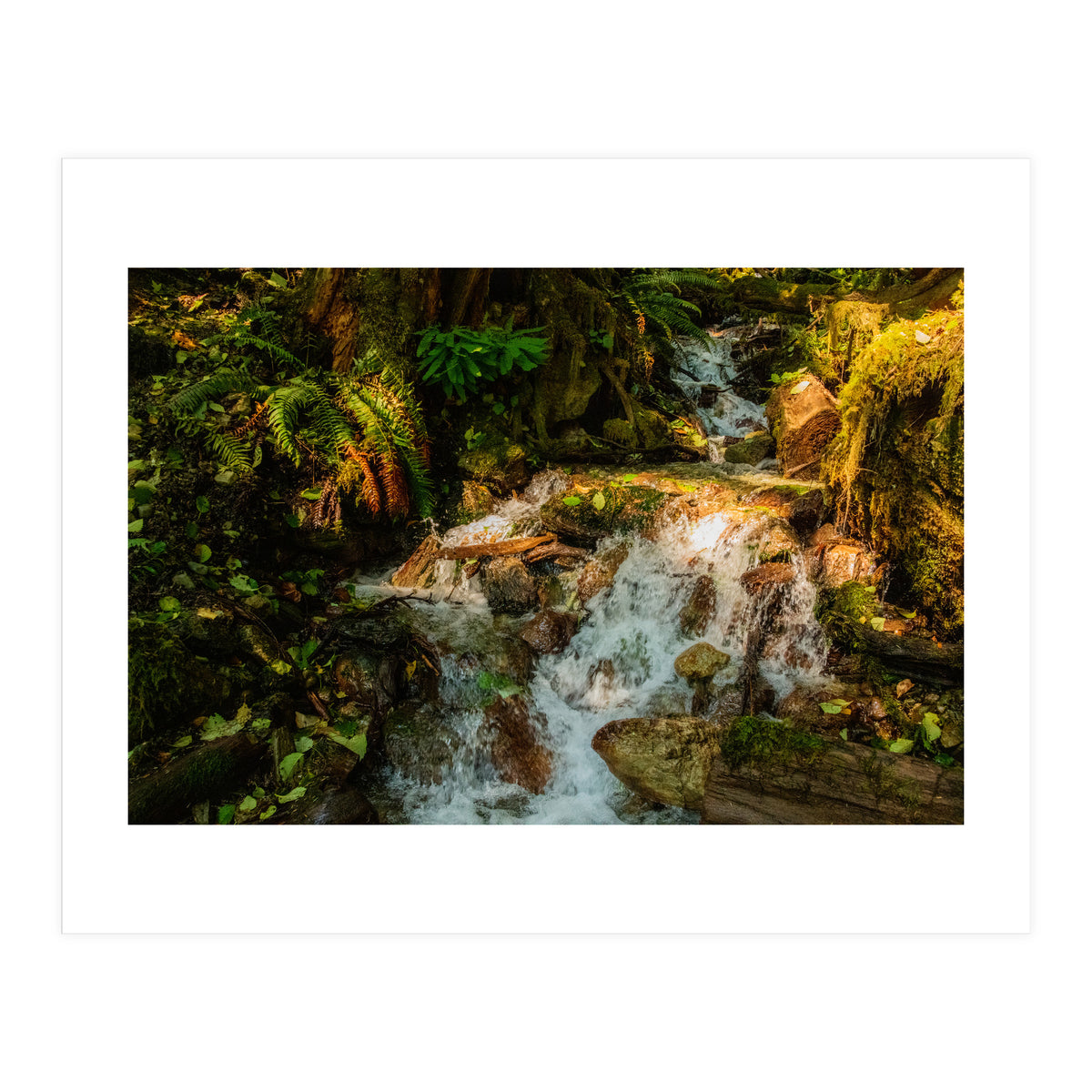 Baker Waterfall (Print Only)