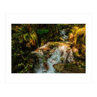Baker Waterfall (Print Only)