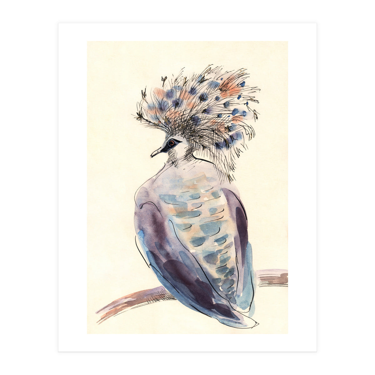Crowned Pigeon (Print Only)