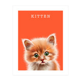 Kitten (Print Only) thumbnail