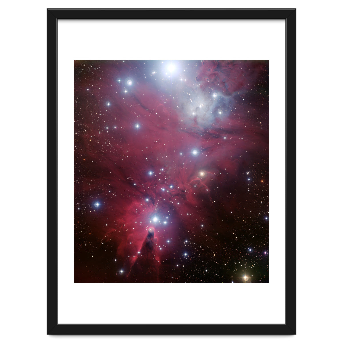 The Christmas Tree Cluster