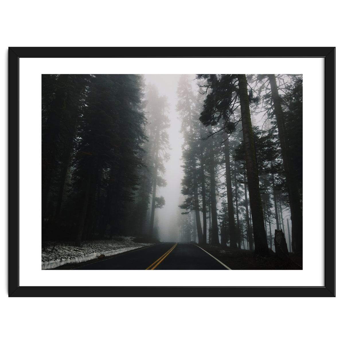 Foggy Yosemite