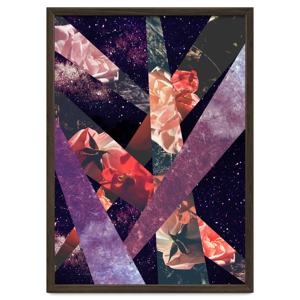 Roses In The Galaxy