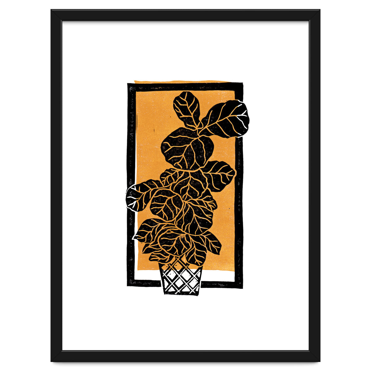 Fiddle Leaf Fig Clean + Sunlight