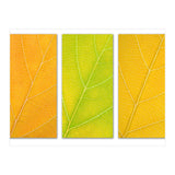 Autumn Leaves (Print Only) thumbnail