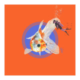 Koi Carp N Diver (Print Only) thumbnail