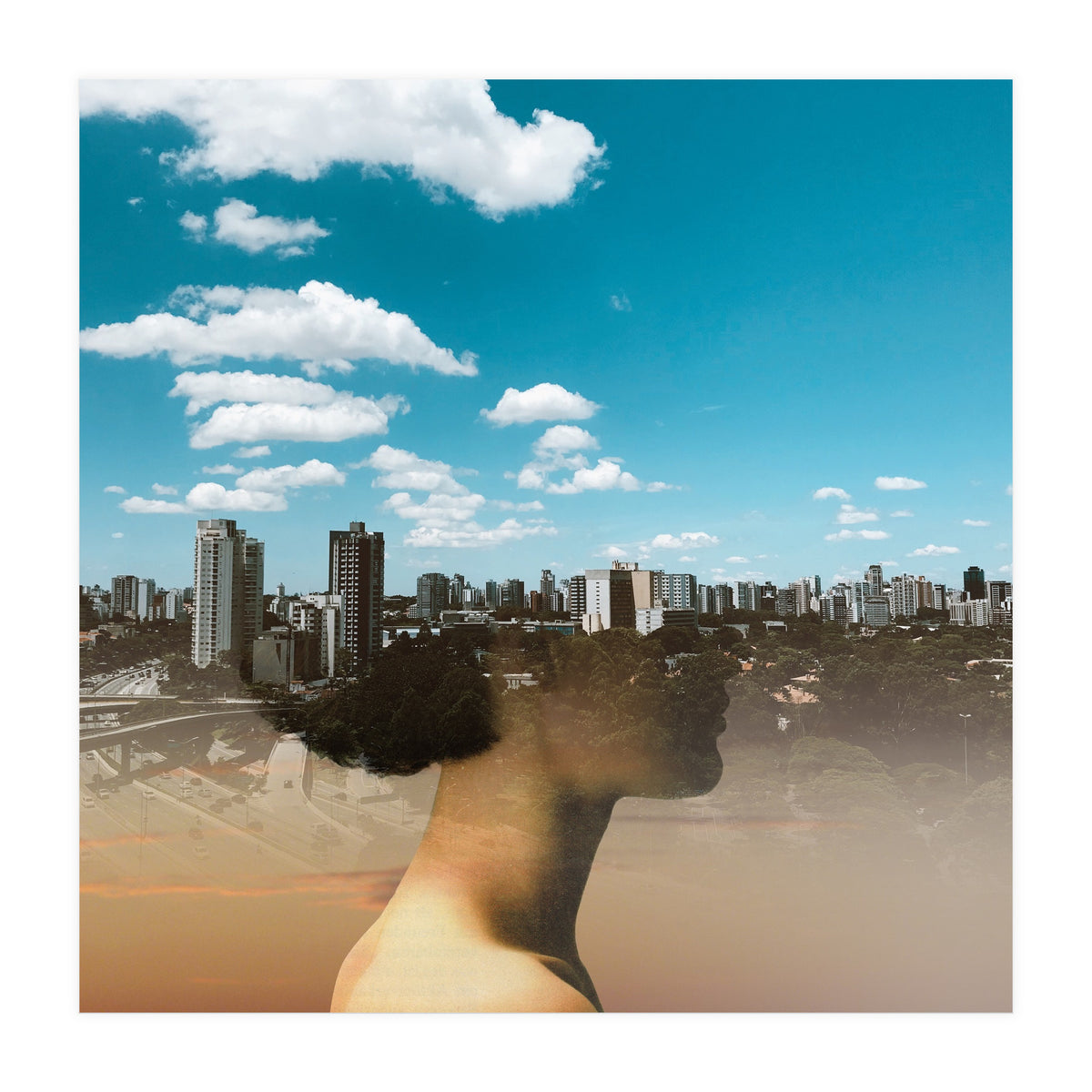 Dream Division 15 (Print Only)