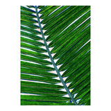 Foliage V3 (Print Only) thumbnail