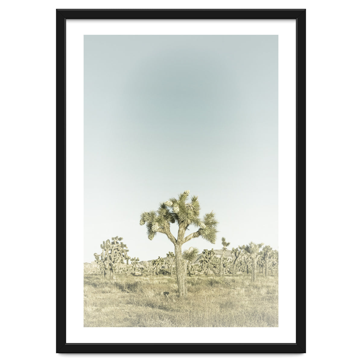 Vintage Joshua Tree