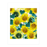 Sunflower (Print Only) thumbnail