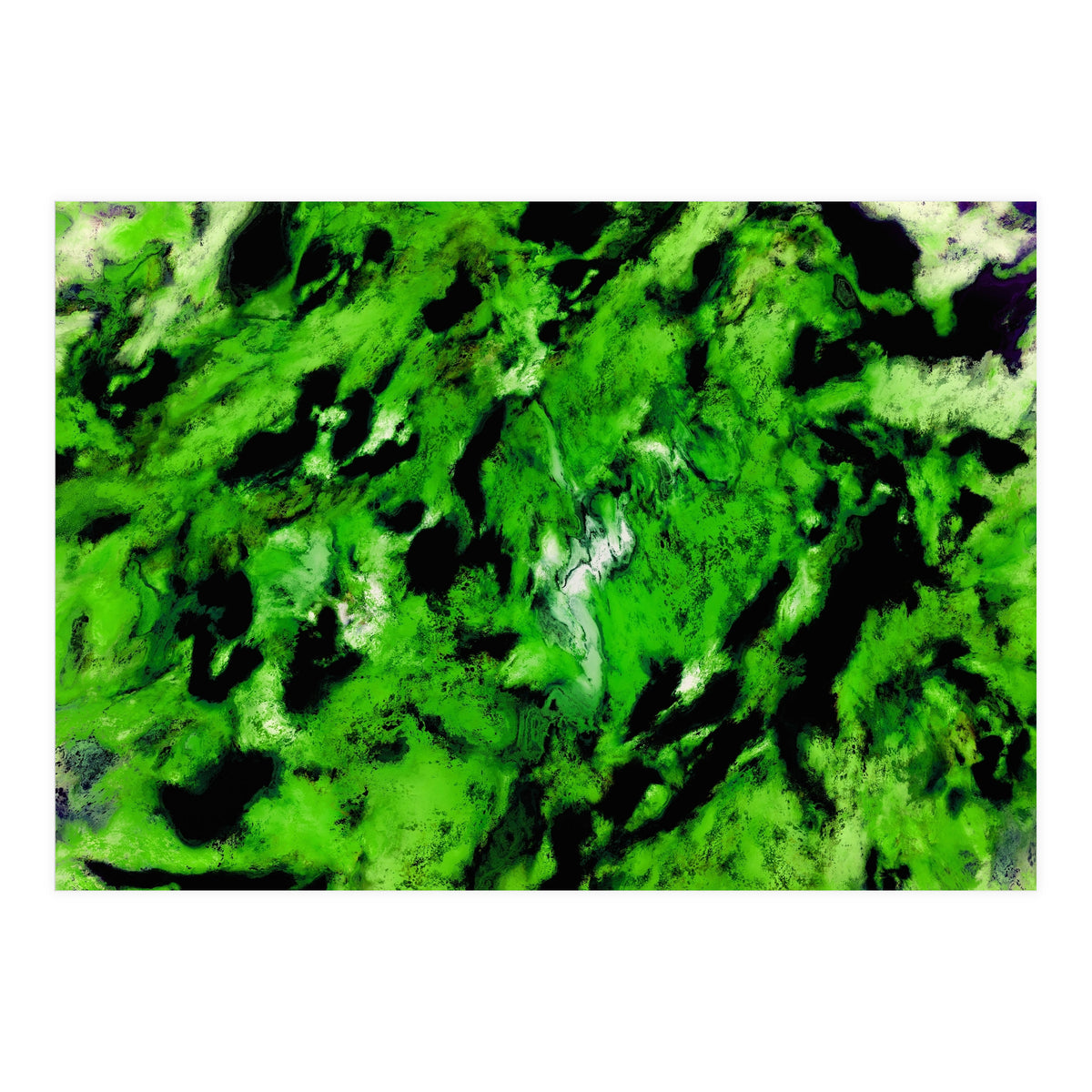 More Distinguishing Marks (Print Only)