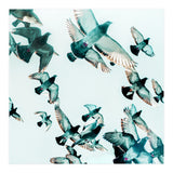 Rise (Print Only) thumbnail