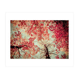 Scarlet (Print Only) thumbnail