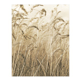 Grass (Print Only) thumbnail
