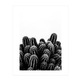 cactus nature X (Print Only) thumbnail