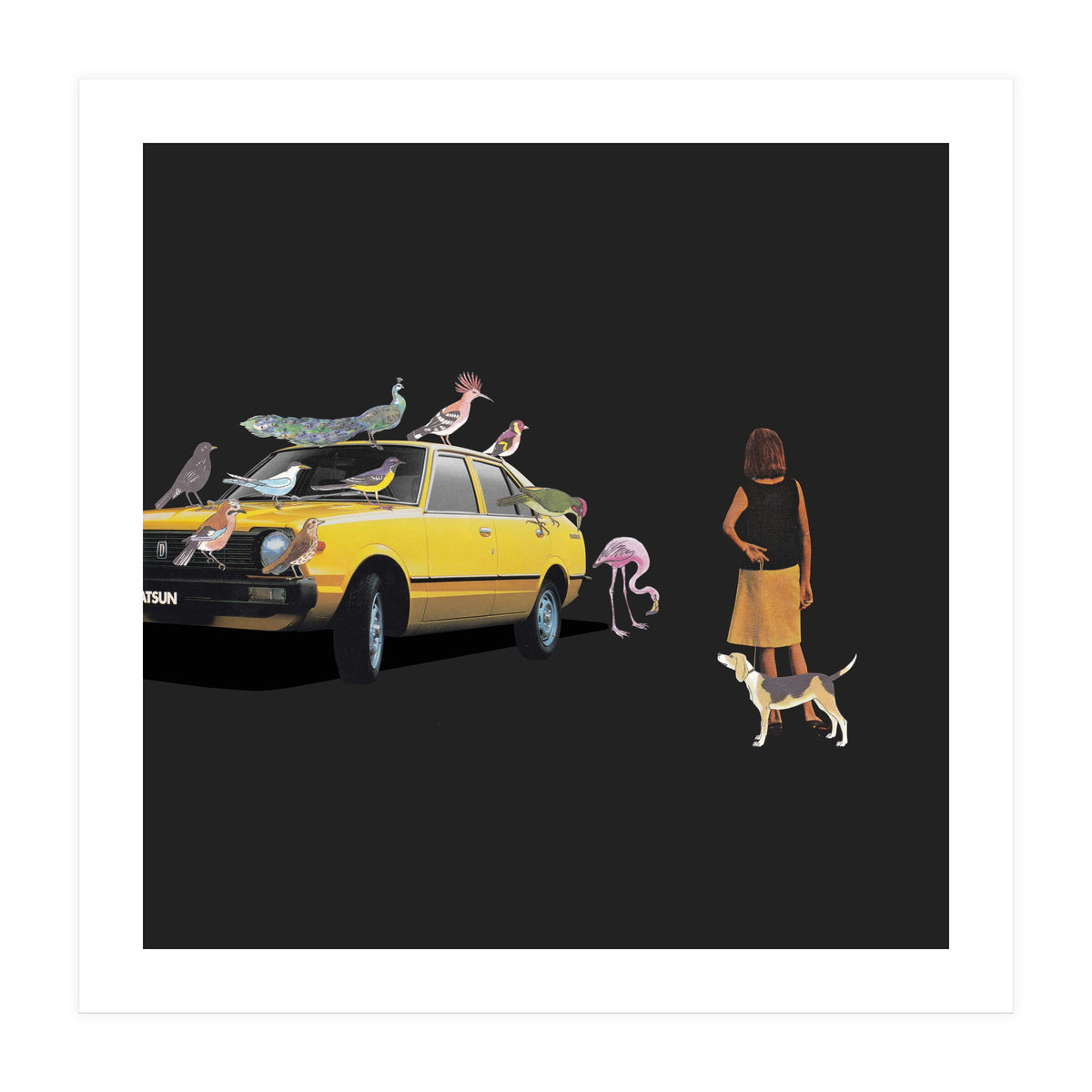 Bird Gang (Print Only)