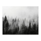 Black and White Forest (Print Only) thumbnail