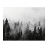 Black and White Forest (Print Only)
