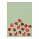 Tomato (Print Only) thumbnail