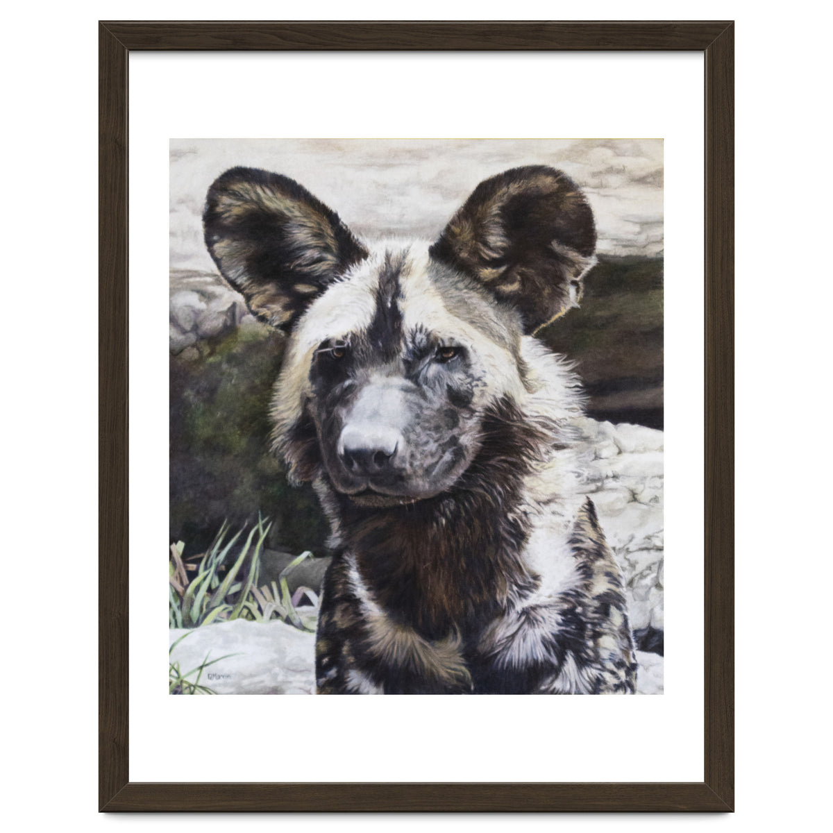African Painted Dog II