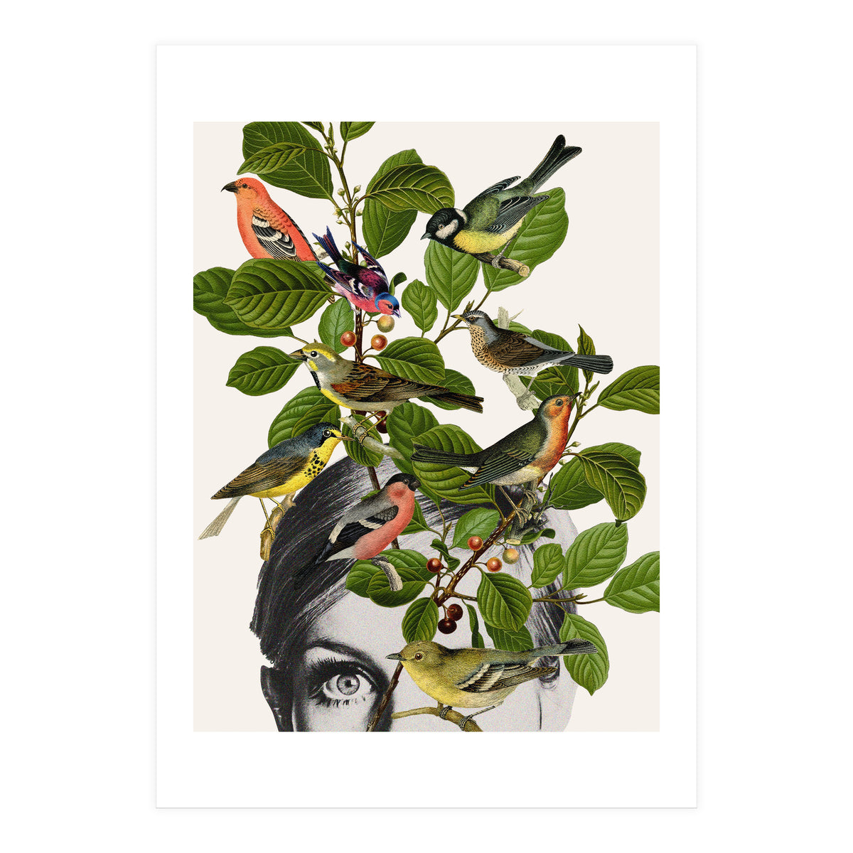 Twiggy Eyes (Print Only)