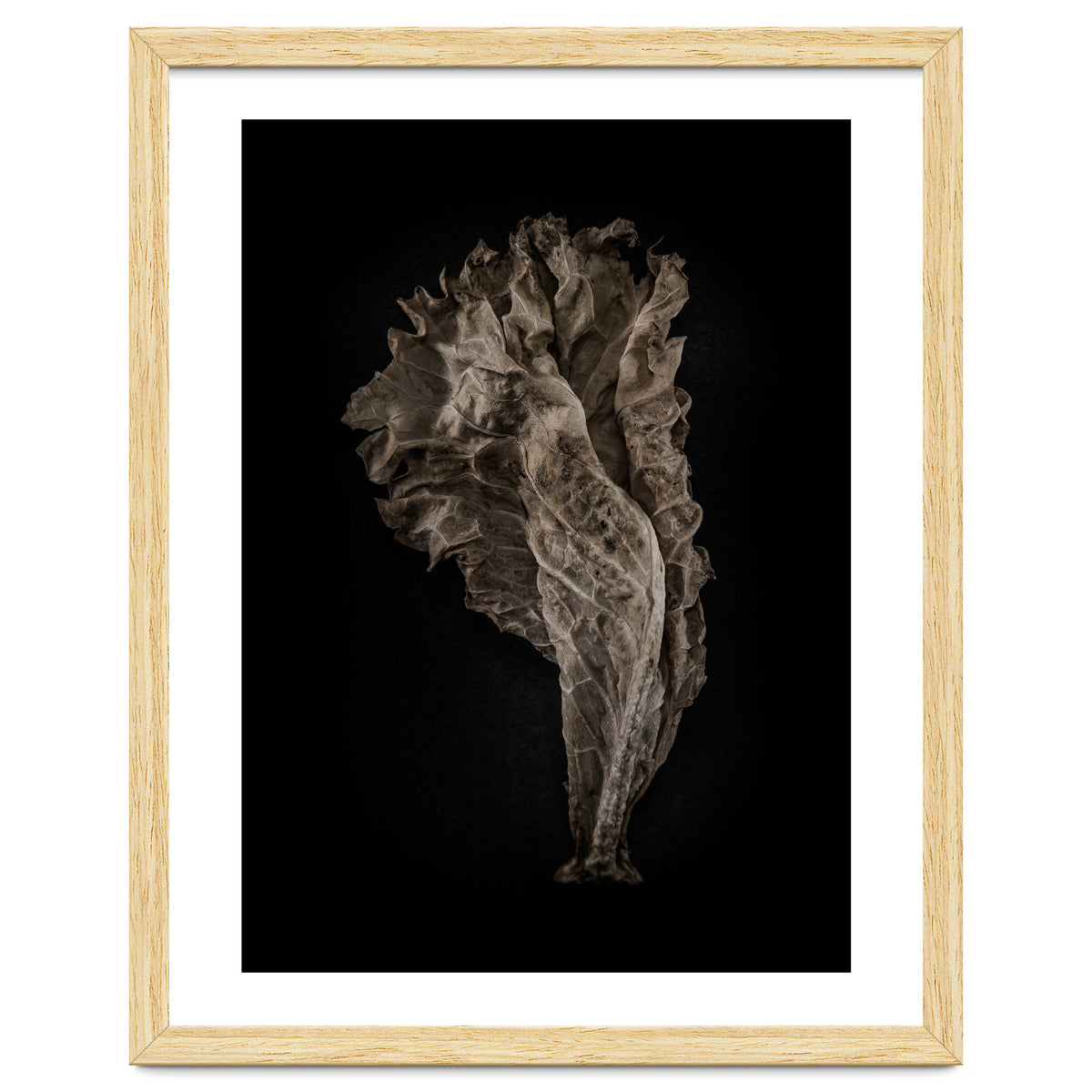 Leaves No 8 Color Version