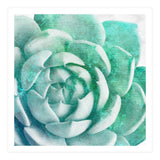 Rough Beauty 1 (Print Only) thumbnail