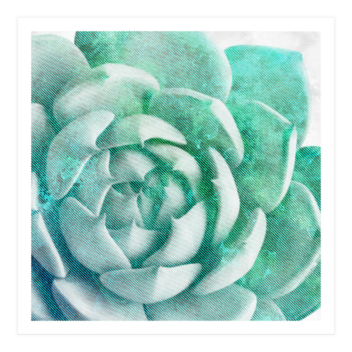 Rough Beauty 1 (Print Only)