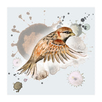 Flying sparrow (Print Only)