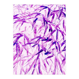 Ultra Violet (Print Only) thumbnail