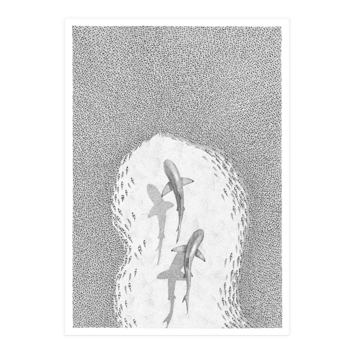 Strength in numbers (Print Only)