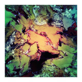 Bathe (Print Only) thumbnail