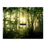 you are here - Nature Photography -  (Print Only) thumbnail
