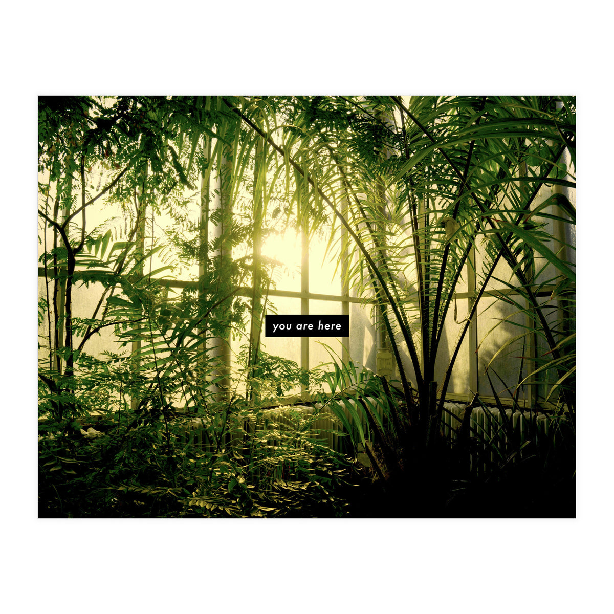 you are here - Nature Photography -  (Print Only)